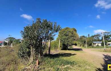 Imagem 3: Terreno para Venda em Nova Petrópolis, Vila Germânia
