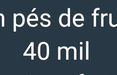 Imagem: O terreno e está localizado em São Domingos, Niterói à venda