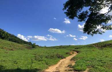 Imagem 13: Propriedade rural a venda com 12,5 alqueires legalizada entre Usina Outeiro e Rio Paraíba
