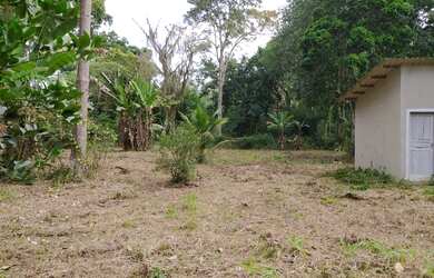 Imagem 6: Área livre. 5.000m² de Área