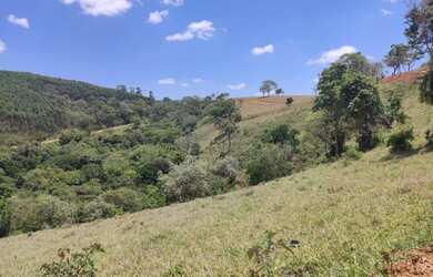 Imagem 7: Lote/Terreno para venda possui 1000 metros quadrados em Vila Santista...