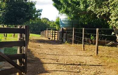 Imagem 12: chácara em inhumas. 94.000m² de Área