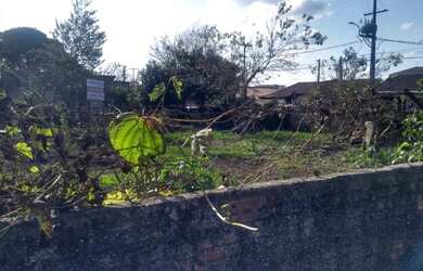 Imagem 2: Terreno Piraquara