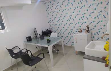 Imagem 14: Clinica Veterinária no Bairro Ipiranga Perto do Museu do Ipiranga