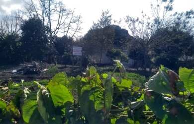 Imagem 3: Terreno Piraquara