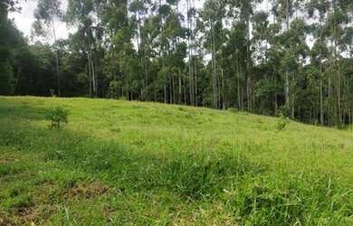 Imagem 8: Lote/Terreno para venda santa luzia-Nazaré paulista