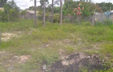 Imagem: O terreno está localizado em Floresta, Santarém à venda por