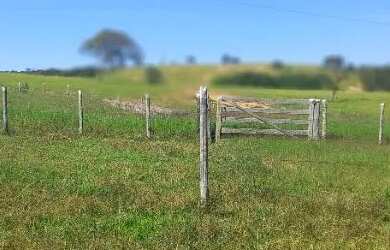 Imagem 3: Venda fazenda Unaí mg escriturada formada rio bem estrururada