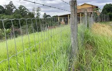Imagem 10: CHACRINHA OU TERRENO 1250M² COM FIBRA ÓTICA, ÁGUA ENCANADA, ESCRITURA...
