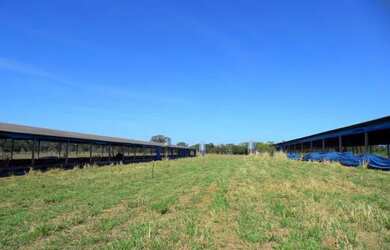 Imagem: A fazenda possui 100.000m² de Área e está localizado em