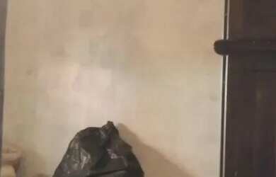 Imagem 4: Sobrado. 166m² de Área, 1 Banheiroe2 Dormitórios