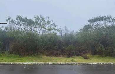 Imagem 7: Terreno - Bairro Morada Da Serra