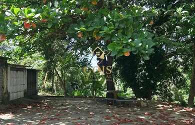 Imagem 13: Venda - Apartamento 3 quartos,1 suíte - Rui Palmeira - Serraria