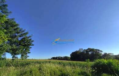 Imagem: Sítio à venda, 121000 m² por R$ 1.750.000,00 - Centro - Toledo/PR