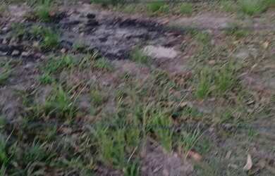 Imagem 4: Terreno. 90m² de Área