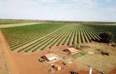 Imagem 9: fazenda de 158,33 hectares na região da cidade de Votuporanga