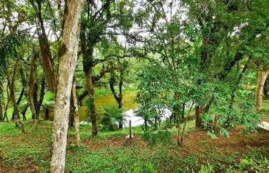 Imagem: A chácara possui 32.000m² de Área e está localizado em