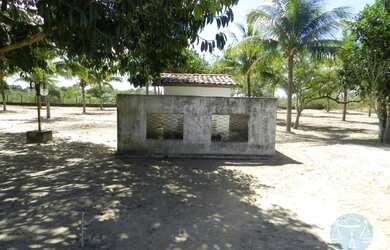 Imagem 14: SãO JOSE DE MIPIBú - Casa Padrão - São José De Mipibu