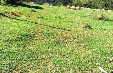 Imagem 8: Lote/Terreno para venda tem 1000 metros quadrados em São Miguel Paulista - São Paulo - SP