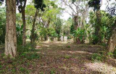 Imagem 4: Área livre. 5.000m² de Área