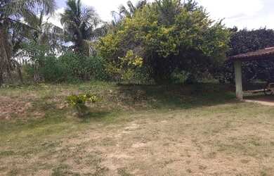 Imagem 16: Terra em tarumirim. 