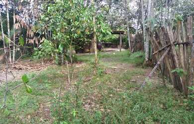 Imagem 3: Terreno no aurá. 