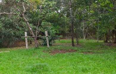 Imagem 8: Iranduba - Sítio - Iranduba