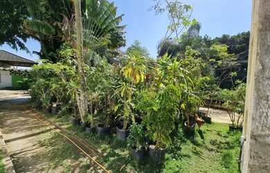 Imagem 6: Galpão/Depósito/Armazém para aluguel possui 50 metros quadrados em...