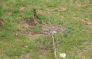 Imagem 2: Lote Portal da Serra. 250m² de Área