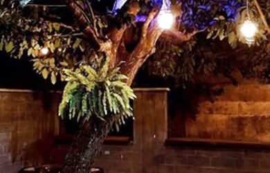 Imagem 3: Hamburgueria a venda