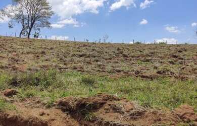 Imagem 13: Lote/Terreno para venda possui 1000 metros quadrados em Vila Santista...