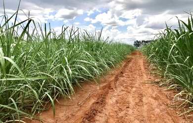 Imagem: A chácara possui 472.000m² de Área e está localizado em