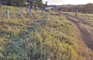 Imagem 3: Fazenda no prata 3 milhões