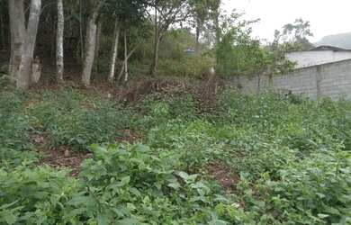 Imagem 5: Oportunidade 3 mil mts 57 mil reais