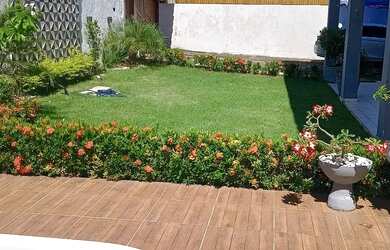 Imagem 9: Alugo casa em barra de Jacuípe