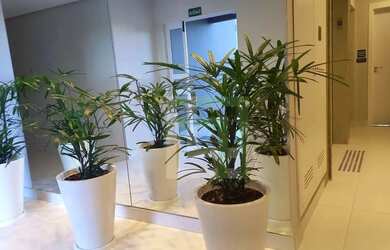 Imagem 2: Apartamento com 3 dormitórios à venda, 85 m² por R$ 750.000,00 - Medeiros...