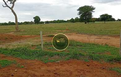 Imagem 2: 197 Alqueires Novo Brasil