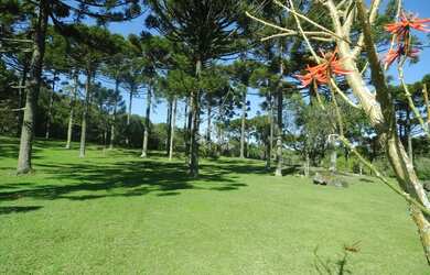 Imagem 6: Condomínio Alto das Videiras - Vale dos Vinhedos