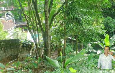 Imagem 8: TERRENO NO MEIO DA MATA -GREEN WOOD ITANHANGA