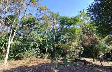 Imagem 15: 0 - Terreno - VILA VALQUEIRE