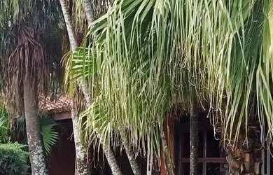 Imagem: A fazenda possui 209m² de Área, Imóvel novo e está localizado