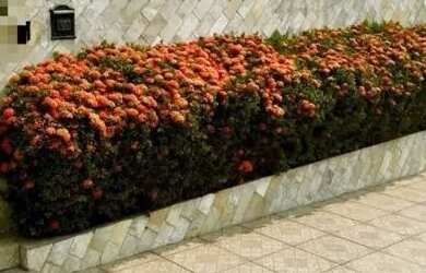 Imagem: A casa possui 3 Dormitórios, 2 Banheiros, 1 Vaga na garagem