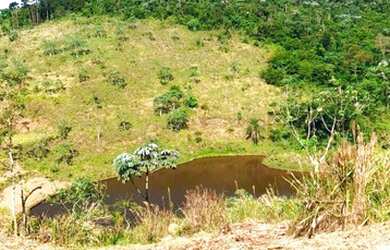 Imagem: O terreno possui 1000m² de Área e está localizado em São