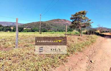 Imagem: A fazenda está localizado em Barro Alto, GO à venda por R$6.000.000