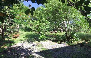 Imagem: A fazenda possui 20.000m² de Área e está localizado em Santana