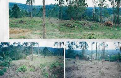 Imagem 5: Terreno A Venda No Bairro Invernada No Embu das Artes