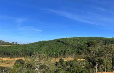 Imagem 12: Lote/Terreno para venda possui 1000 metros quadrados