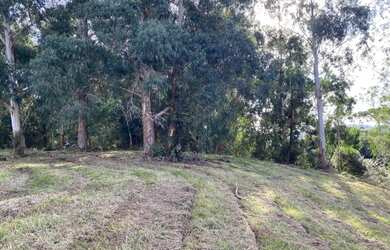 Imagem 5: Terreno de 2 hectare em Urubici