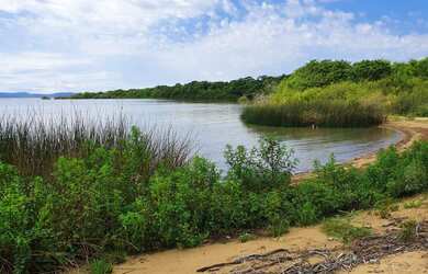 Imagem 1: Lote/Terreno para venda com 20.000 metros quadrados em Boa Vista do Sul...