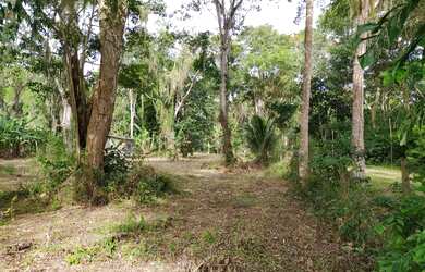 Imagem 3: Área livre. 5.000m² de Área